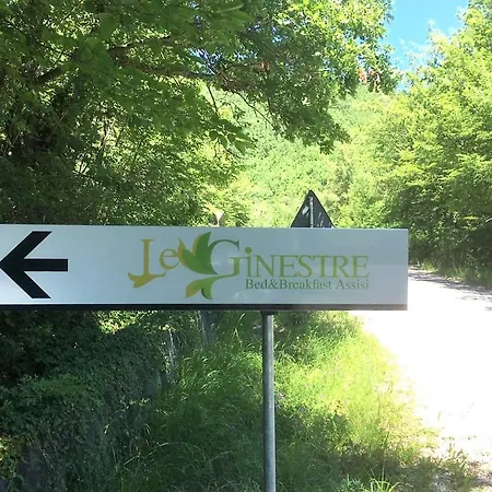 Le Ginestre