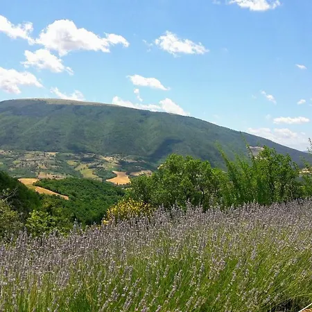 Le Ginestre Lägenhet Assisi